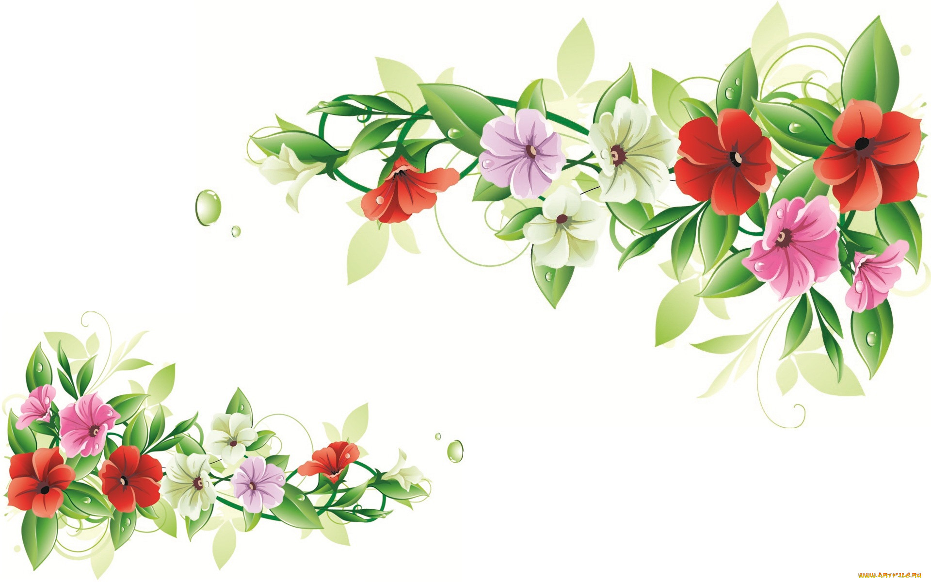  ,  , flowers, 